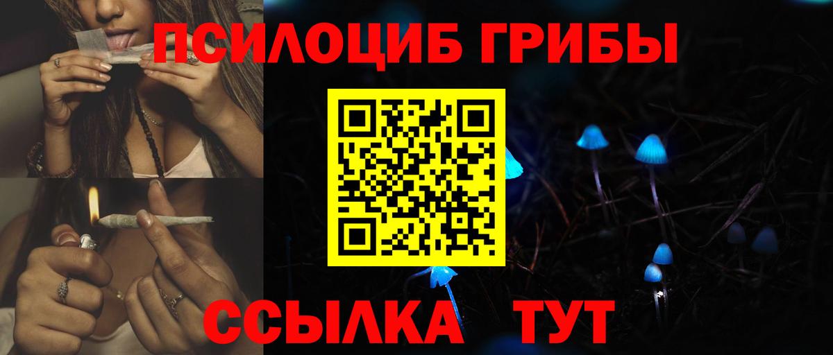 Краснознаменск  Псилоцибиновые грибы MAGIC MUSHROOMS  как найти   Вход с VPN 